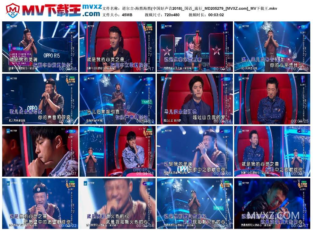 道尔吉-海然海然(中国好声音2018)_国语_流行_MD205279